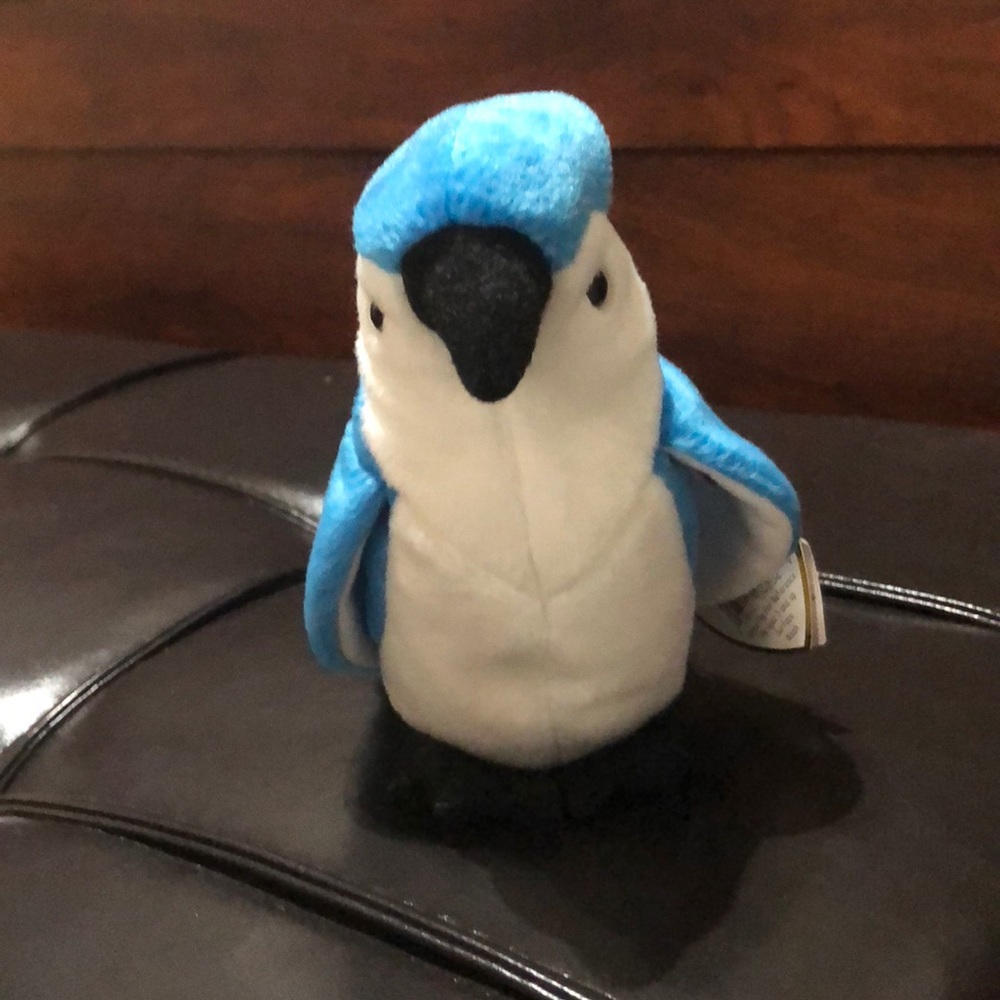 Rocket the bird